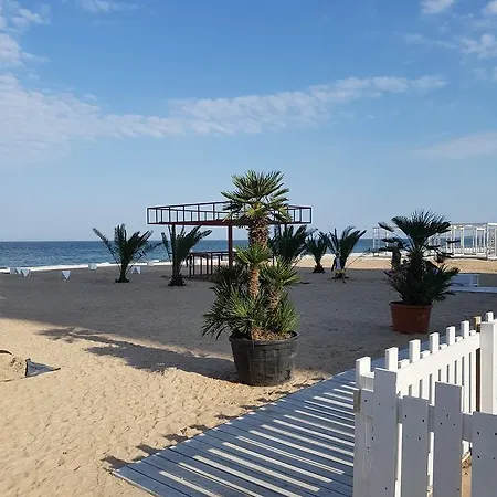 Frontal View By Twin * Mamaia
